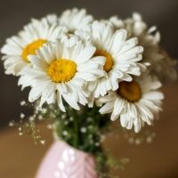 Fresh flowers on a pink vase