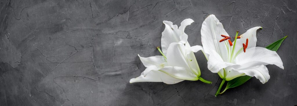 Flower symbol of grief