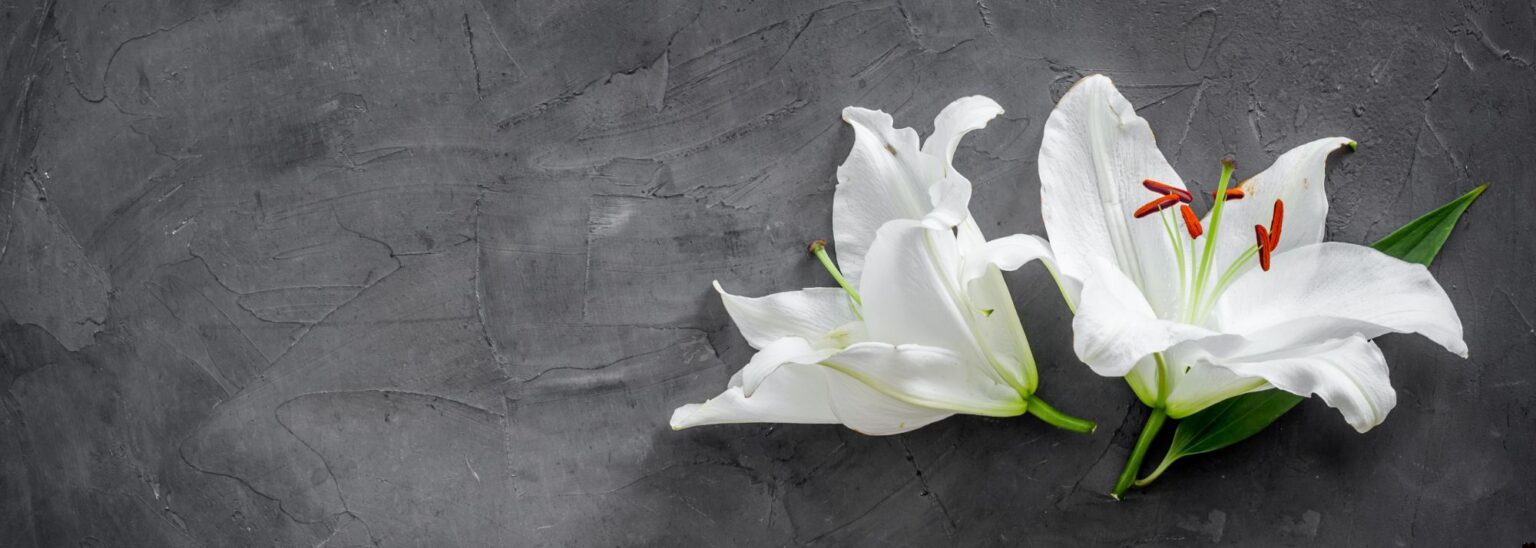 Flower symbol of grief